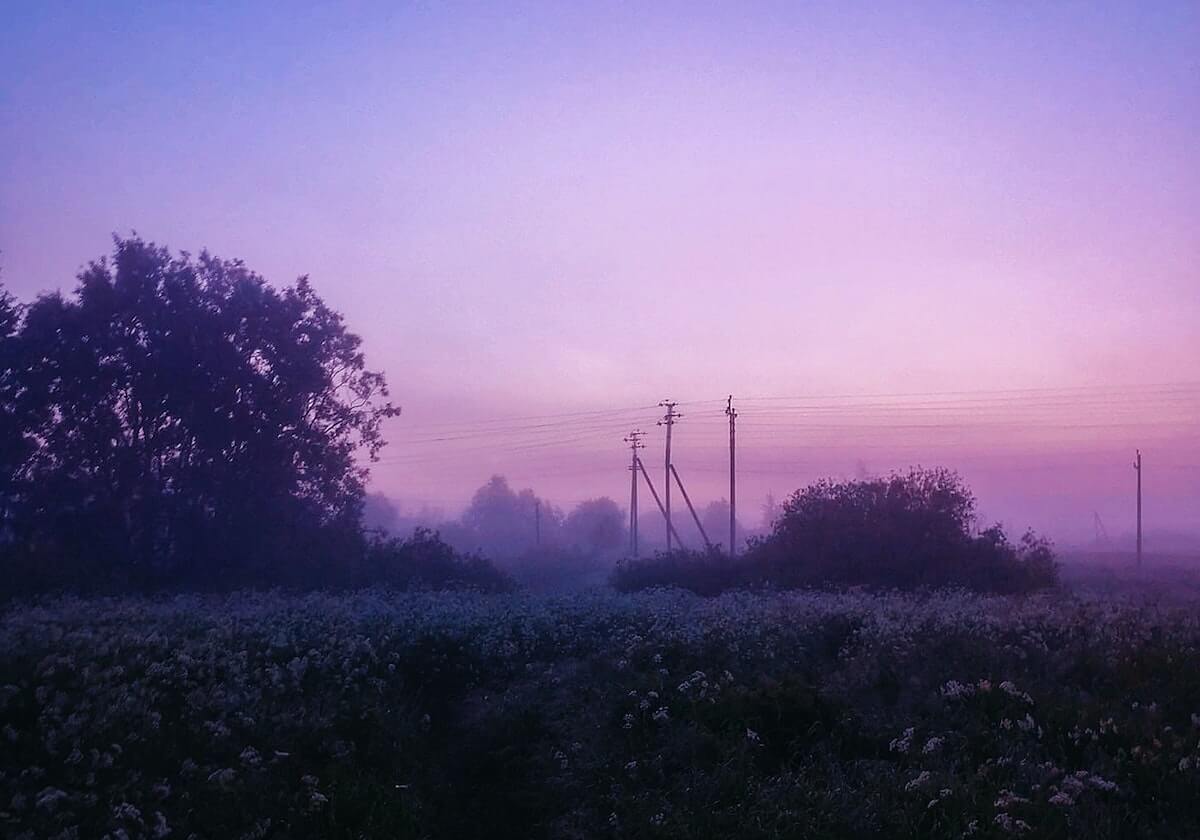 每日大赛深度揭秘：meiridasai风波背后，大V在粉丝见面会的角色极其令人意外