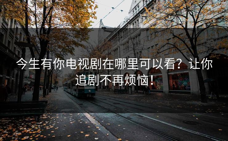 今生有你电视剧在哪里可以看？让你追剧不再烦恼！