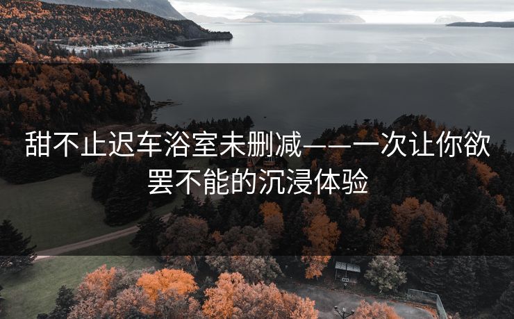 甜不止迟车浴室未删减——一次让你欲罢不能的沉浸体验